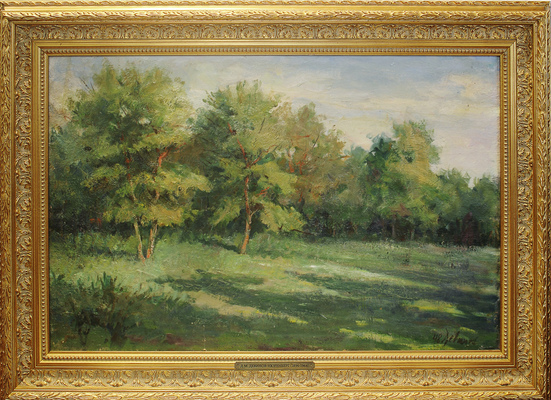 Девинов-Нюренберг Давид Маркович. Зеленая поляна 